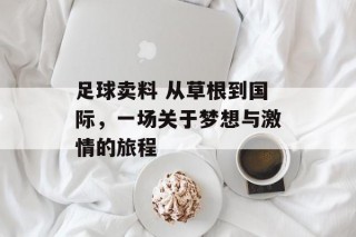 足球卖料 从草根到国际，一场关于梦想与激情的旅程
