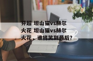 芬超 坦山猫vs赫尔火花 坦山猫vs赫尔火花，谁将笑到最后？