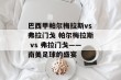 巴西甲帕尔梅拉斯vs弗拉门戈 帕尔梅拉斯 vs 弗拉门戈——南美足球的盛宴