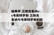 瑞典甲 兰斯克鲁纳vs韦斯特罗斯 兰斯克鲁纳与韦斯特罗斯的较量