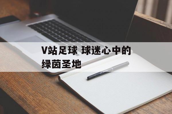 V站足球 球迷心中的绿茵圣地  第1张