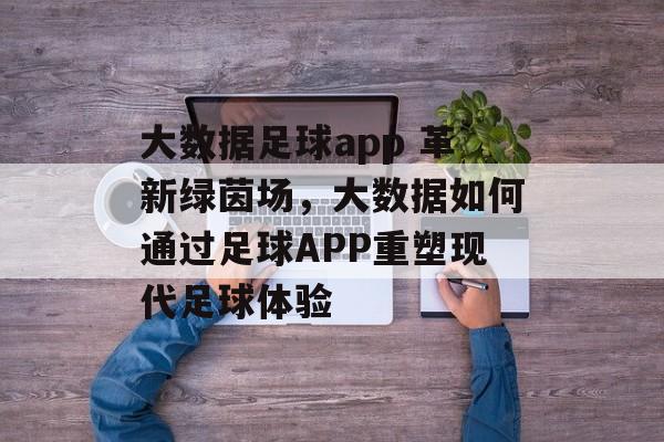 大数据足球app 革新绿茵场，大数据如何通过足球APP重塑现代足球体验  第1张