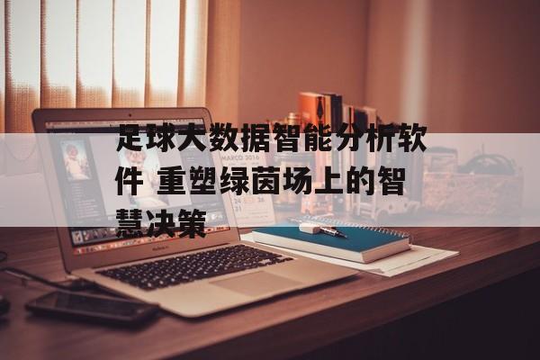 足球大数据智能分析软件 重塑绿茵场上的智慧决策  第1张